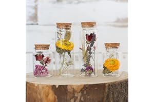 comforder Flores Secas Naturales en jarrones de Cristal, Set de 4 floreros de Cristal Modernos y Flores Preservadas (Primavera)