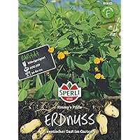 Sperli Gemüsesamen Erdnuss Jimmy's Pride, grün