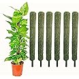 Nayra Plant Support Moss Stick(3 Ft Pack of 6)- Green Grass Pole for Plants Support, Support Stick for Money Plant, Climbing Indoor Plants