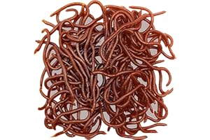 XYQMLY 100 Pcs 3.3inch Soft Worms Fishing Lure Baits, Earthworm Baits Lifelike Fake Bloodworm,Fresh Water Fishing Bait