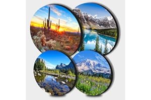 Walarky Saguaro Lot de 4 cache-plaques rondes en métal motif cactus pour cuisinières électriques, cuisinière à gaz, ustensiles de cuisine, accessoires de cuisine modernes