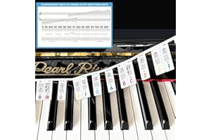 JYCSTE Grundlegendes Musiktheorie-Poster-Set, Leitfaden für Klaviertastatur und Notensystem sowie bunte Etiketten für Klaviertastatur-Noten (labels and theory poster)