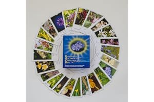 Bachblüten-Karten: Karten - Deutsch. Blüten als Chance und Hilfe: Kartenset mit allen 39 Bachblütenfotos
