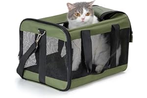 HITSLAM Trasportino Gatto, Trasportino Cane per Gatto/Gatti/Cane/Cani, Trasportino Morbido e Aereo Borsa per Animali Domestici Viaggio,Conforme agli Standard, verde (M)