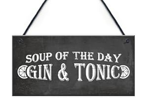 RED OCEAN Gin & Tonic Garden Home Bar Pub Plaque Funny Alcohol Sign Friendship Gift For Him Her