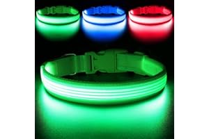 YFbrite Collier lumineux à LED rechargeable, réglable, réfléchissant et lumineux à la tombée de la nuit pour chiot, chiens de petite, moyenne et grande taille (design 2 - vert, taille L)
