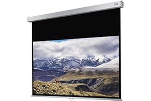 celexon Écran de Projection Manuel 4K et FullHD avec Retour Lent de la Toile pour écoles, Entreprises et Home Cinéma Pro Plus - 300 x 187cm - 16:10 - Gain 1,2-140" Pouces