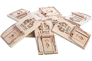 Neustanlo Juego de 5 trampas para ratones de madera | Trampa de chupito | Alta fuerza de impacto | Fácil de usar | Fabricado en Alemania