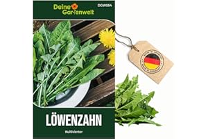 Löwenzahn Kultivierter Samen - Taraxacum officinale - Löwenzahnsamen - Kräutersamen - Saatgut für 100 Pflanzen