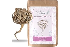 VIRHEA Rose de Jericho, Chajarat Mariam x1 - Format XL - Plante Favorisant la Fertilité - Anastatica Hierochuntica [Satisfait ou Remboursé]