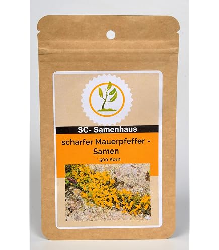 schwertfarn zimmerpflanze Schwertfarn kaufen | Nephrolepis exaltata main image 1