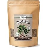 Biojoy Semi di Coriandolo Biologici (250 gr), interi (Petroselinum crispum)