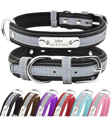 Leder Hundehalsband Personalisiert Hundehalsband Aus Echtem Leder | Fantini Pelletteria Gepolstertes Halsband Mittelgroße Hunde