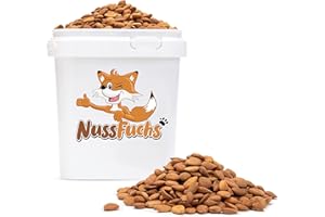 NUSSFUCHS Aprikosenkerne bitter 1,5kg bittere ganze Aprikosenkerne ungesalzen ungeröstet naturbelassen ganze Kerne extra hoher bitter Anteil-100% naturreines unbehandeltes Naturprodukt (1,5kg)