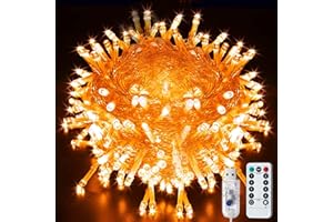 LITYBY Fairy String Lights, 8 Modes USB Plug in Powered Lights Waterproof Outdoor/Indoor Christmas Lights with Remote Timer for Bedroom, Party, Wedding, Halloween Decoration (Orange)