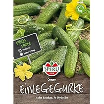 Sperli Bella komkommerzaden, F1 80771 - robuuste, pure vrouwelijke, pitloze variëteit - inhoud voor 5 planten - groentezaden, groenten