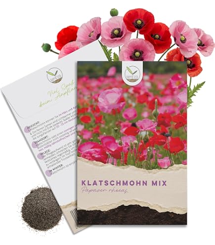 Bingenheimer Saatgut - Klatschmohn - Blumen Saatgut / Samen : Amazon.de:  Garten