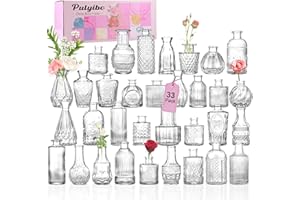 Pulyibo Vase à Bourgeons en Verre 33 Pcs, Petits Vases pour Centres de Table de Mariage Rustique, Mini-Vases en Vrac pour Décoration Florale de Table, Vases Transparents