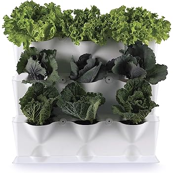 Minigarden® - der Mini Garten für zu Hause, Balkon, Terrasse- in der