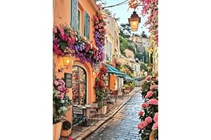 Yunruily Vue de la rue Peinture par Numéro Adultes débutants-Peinture Numero adulte,Numéro d'Art Kit Peinture par Décoration Murale et Cadeaux Pour La Maison 40x50cm