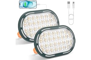 DANCINGBOAR Faro LED Ricaricabile 30W 2000LM, Ricarica USB, 4 Modalità di Illuminazione, IP65 Impermeabile, Compatto e Portatile, Ideale per Campeggio e Lavoro, 2 Pezzi