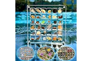 Quixion Acrylic Magnetic Seashell Display Box, Clear Mini Seashell Storage Box, Decorative Seashell Starfish Trinket, Multifunctional Diamond Gemstone Display Organizer Case for Bead, Nail, Jewelry.