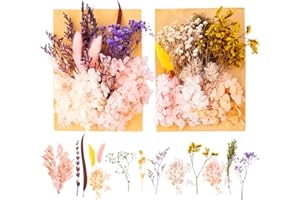 2 Sätze Trockenblumen zum Basteln, PAYFULLY Blumen Natürliche Gemischte DIY Natürliche Getrocknet Blumen, Trockenblumen Weiß Lila Trockenblumen Deko für Kunst Basteln Dekoration