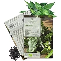cleanse with aloe ORS Olive Oil Deep Cleansing Creamy Aloe Sh… main image 0