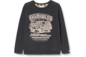 NOPPIES KIDS Noppies Jungen B Sweater Ls Baraki Pullover