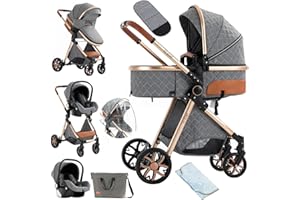 NADDLILY Kinderwagen 3 in 1, Buggy mit Umkehrbarem Zwei-Wege-Schub, Kinderwagen mit Faltbarem Tragbarem One-Click-Design, Kinderwagen 3 in 1 Komplettset mit Zubehör Hohe Landschaft (V9 Grey)