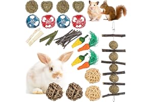 KidsPark SONNIG 20 PCS Jouets à Mâcher pour Lapin Nain, Jouets Naturels Faits à la Main pour Petits Animaux pour Le Soin des Dents, Jeux pour Lapin, Cochon d'Inde, Chinchilla, Hamsters, Rat, Gerbille