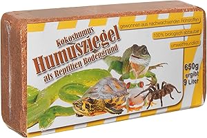 Humusziegel RBG650G Terre de Terrarium pressée Brique pour Reptiles 650 g