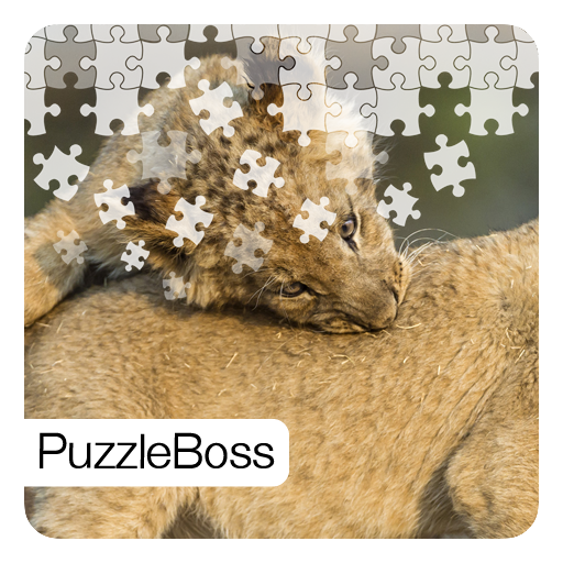 Big Cat Jigsaw Puzzles Amazon.co.uk Apps & Games