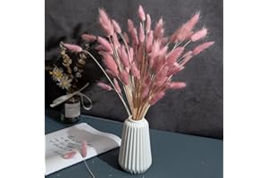 CHBOP 120 x Getrocknete Pampasgras Pampas Deko Trockenblumen Trockenblumenstrauß Natürliche Blumendekoration Gräser für Hochzeit Innendekoration Schlafzimmer Wohnzimmer (Blasslila)