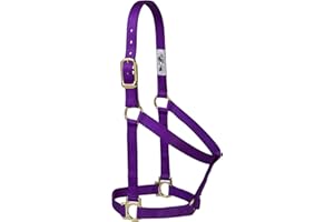 Weaver Leather 35–7404-TU Einfacher unverstellbarer Halfter, 25 mm für kleine Pferde, Türkis