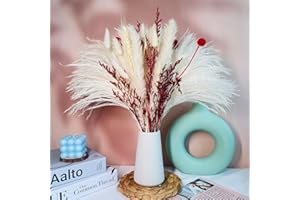 LZGS GO SWING BANDS Pampas Séchées Décoration Fleur sechees Naturel DIY Fleurs séchées Bouquet Idéal pour Boho Salon-Mariage Chambre à Coucher et vases (LZGSGO-0119)