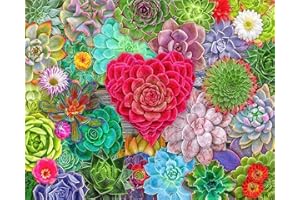 TISHIRON DIY Paint by Numbers for Adults Beginner Kids, Succulents Adult Paint by Numbers, 16X20 Inch Paint by Numbers Kits with Paint Brushes and Acrylic Pigment, Flameless Landscape Oil Painting Kits Gift