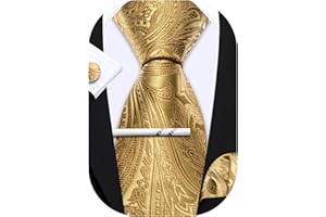 Barry.Wang Herren Krawatte Seide Set Florale Paisley-Krawatte Einstecktuch Manschettenknöpfe im Krawattenklammer Feierliche Hochzeit Party