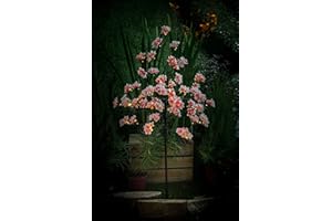 Noma Solar Cherry Blossom Tree with Warm White LED, 1.2m