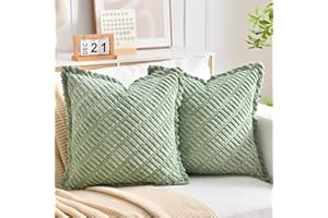 LRARTDECO Set di 2 Federe Cuscini Divano Verde Salvia 50x50 Morbido Velluto a Coste Cuscini per Divano Copricuscini Quadrati Decorativa per Salotto Moderno Cuscino Cerniera Invisibile per Camera da Letto