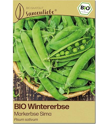 Samenliebe BIO Zuckererbsen Samen | Erbse Norli - fadenlos & kompakt -  samenfestes BIO Saatgut : Amazon.de: Garten