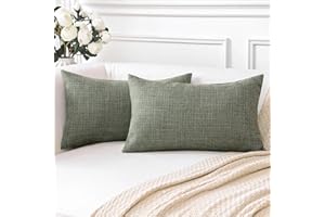 Artscope Housse de Coussin, Lot de 2 en Lin Canapé Taie d'oreiller de Couleur Pure pour Maison Salon Chambre Décoration D'intérieur (Gris Vert, 30x50cm)