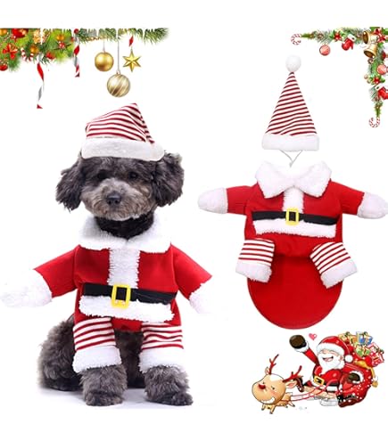 Vestito Babbo Natale Per Cani Vestito Natale Per Cane E Gatto