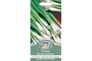 MR FOTHERGILLS Mr Fothergill's 18949 Vegetable Seeds, Onion (Spring) Guardsman