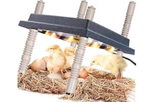 BURNTOP Chick Brooder Heating Plate, 10" x 10" Chick Incubator Heating Lamp, Adjustable Angle and Height Chick Brooder, Safe Incubators With Easy Clean Plate for Chicks/Ducks Thermostat for 15 Chicks (Black)