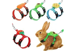 XPAPOV Set di 4 stoviglie regolabili per coniglio e guinzaglio, con decorazioni per coniglio, gattino, cucciolo