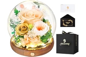 MAMAMIKO Ewige Rosen im Glas mit Led Licht, Infinity Rose, Konservierte Rosen Echt Blume, Geschenk für Frauen Mama Freundin, Valentinstag Jahrestag Geburtstag Muttertag, Gelbe Rose Geschenk für Sie