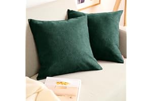 Blumtal Federe Cuscini Divano in Ciniglia, Copricuscini Divano, Federe Cuscino Divano, 2 Pezzi, 45 x 45cm, Verde