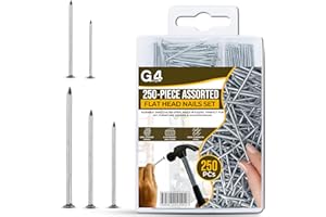 G4GADGET 250-Piece Assorted Flat Head Nails – Premium Zinc Coated, 5 Distinct Sizes for Home Repairs, DIY Projects, Woodworking & Crafts – Includes Organized Storage Box