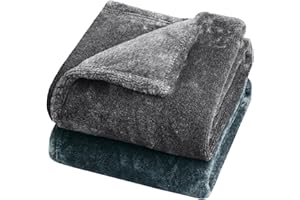 Honsaifau Dog Blanket Washable for Puppy: Fluffy Soft Medium Pet Throw for Cat Puppy Kitten Dogs - 100x70cm 2 Packs Pet Blankets for Sofa Bed Car Indoor- Light Grey and Lake Green